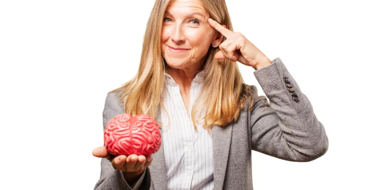 Fases del Cerebro: Cómo Entender Mejor tu Mente