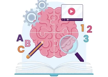 Impacto de las 5 fases del cerebro en el aprendizaje