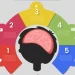 Entendiendo las 5 Fases del Cerebro: Una Guía Completa