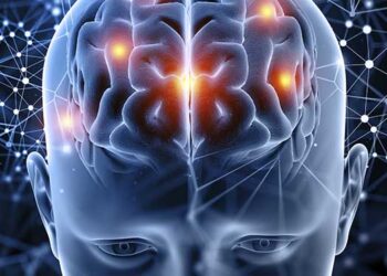 Entiende las 5 Fases del Cerebro para Tomar Mejores Decisiones