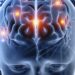 Entiende las 5 Fases del Cerebro para Tomar Mejores Decisiones